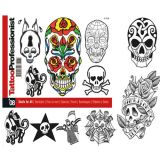 Pro Skulls for All Flash Book #8