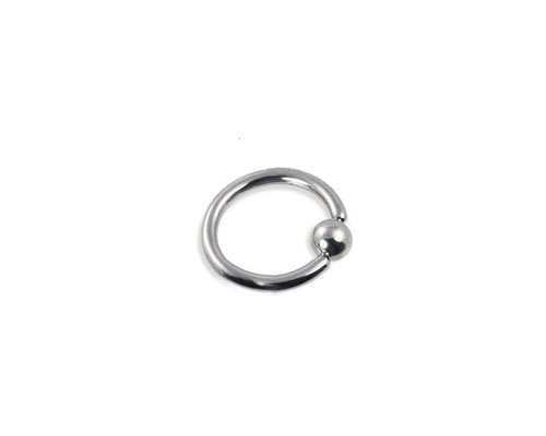 Stainless Steel Captive Rings
